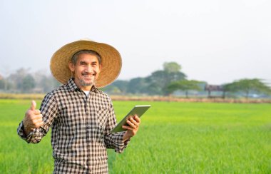 Mutlu Asyalı kıdemli akıllı çiftçi çeltik tarlasında duruyor, bir elinde tablet bilgisayar, diğer elinde pirinç ekme teknolojisinin başarısı için başparmağını kaldırıyor.