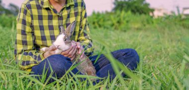 Tarlada genç ve şirin bir tavşanla ilgilenen çiftçi, tavşana odaklanıyor.                           