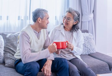 Romantik Asyalı son sınıf çifti oturma odasında sağlıklı bir şeyler içmeyi seviyor. Yaşlılar için sağlıklı bir yaşam tarzı, rahatlama, ev hayatı.