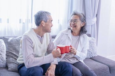 Romantik Asyalı son sınıf çifti oturma odasında sağlıklı bir şeyler içmeyi seviyor. Yaşlılar için sağlıklı bir yaşam tarzı, rahatlama, ev hayatı.