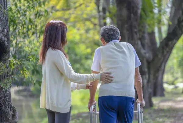 Genç Asyalı kadın bakıcı Doğa Parkında Walker 'la yürüyen yaşlı adama yardım ediyor, yaşlı rehabilitasyon, sağlık hizmetleri