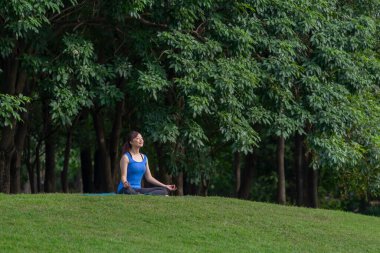 Huzurlu genç bayan yeşil parktaki mindere yoga yapmaya konsantre ol.