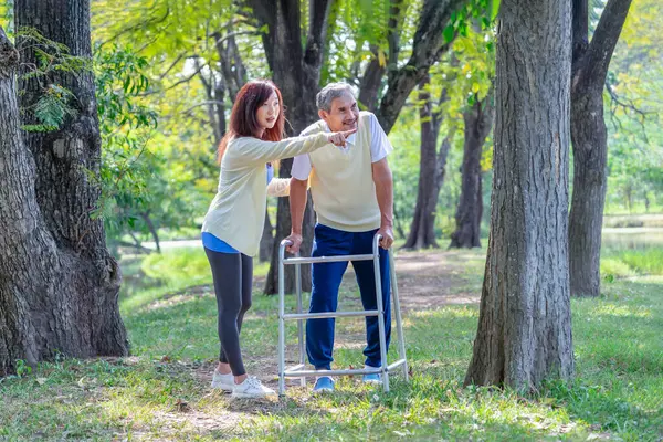 Genç Asyalı kadın bakıcı yaşlı babaya yardım ediyor ve destek oluyor. Walker 'la parkta yürüyor, yaşlı rehabilitasyonu, sağlık hizmetleri...