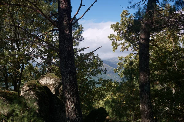 Paesaggio Vista Montagne Cielo Nuvole Alberi Natura All Aperto — Foto Stock