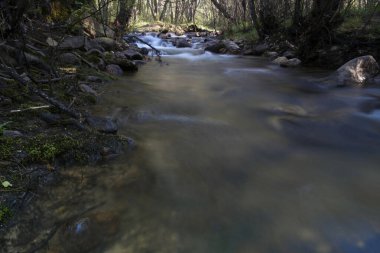 river water landscape view trees stone spring nature