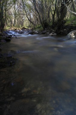 river water landscape view trees stone spring nature