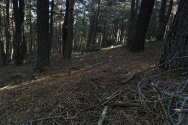 landscape view mountains rocks nature sky blue