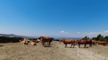 Doğa manzarası. Dağlar, kayalar.