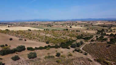 Tarlalar doğa çayır bitkileri baharda açık hava manzarası 