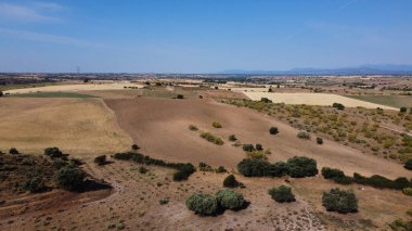 Tarlalar doğa çayır bitkileri baharda açık hava manzarası 
