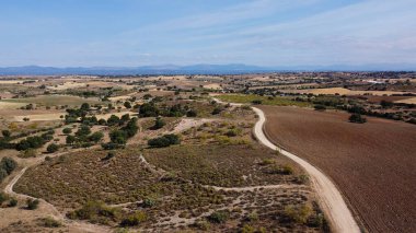 Tarlalar doğa çayır bitkileri baharda açık hava manzarası 