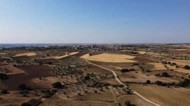 Tarlalar doğa çayır bitkileri baharda açık hava manzarası 