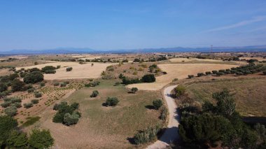 Tarlalar doğa çayır bitkileri baharda açık hava manzarası 