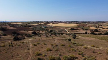 Tarlalar doğa çayır bitkileri baharda açık hava manzarası 
