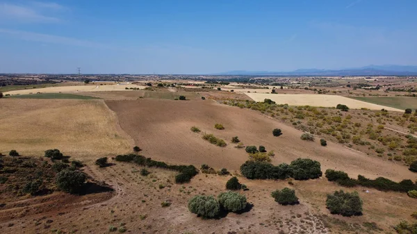 Tarlalar doğa çayır bitkileri baharda açık hava manzarası 
