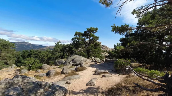 Krajobraz Widok Zewnątrz Natura Góry Drzewa Hiszpania Rośliny — Zdjęcie stockowe