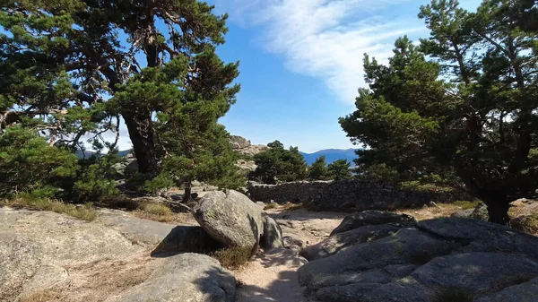 Paisaje Vista Naturaleza Exterior Montañas Árboles España Plantas —  Fotos de Stock