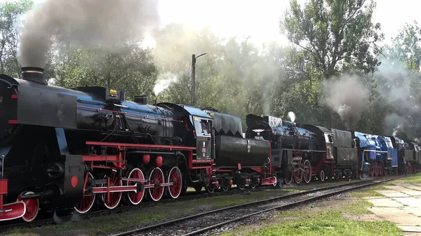 Locomotora Humo Viejo Tren Ferrocarril Transporte Ferrocarril Antiguo — Foto de Stock