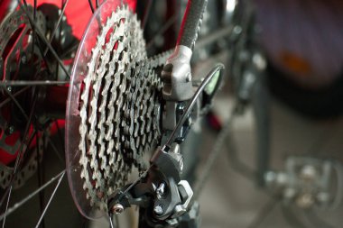 Detaylı bisiklet sporu nakliye motosiklet taşımacılığı yarı araç bisiklet dağı