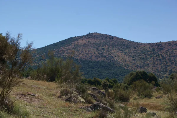Горы Пейзаж Вид Природа Деревья Испания Лето Природа Открытые Скалы — стоковое фото