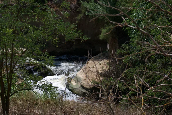 Rzeka Woda Nurt Natura Kamienie Vedova Krajobraz Drzewa Ziele — Foto Stock