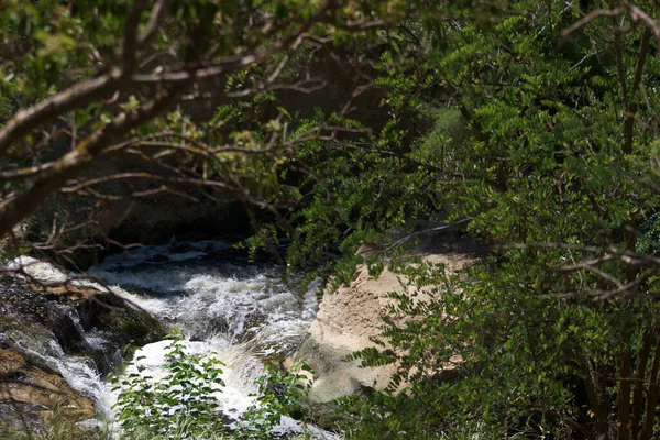 Rzeka Woda Nurt Natura Kamienie Widok Krajobraz Drzewa Ziele — Stockfoto