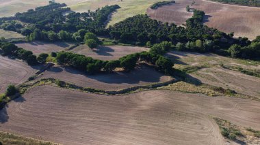 hava görüntüsü, manzara, manzara, köy, yukarıda, alan, yaz, tarım, kırsal, çevre, doğa, açık hava,