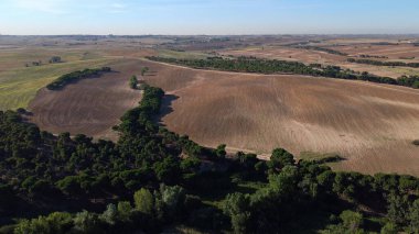 hava görüntüsü, manzara, manzara, köy, yukarıda, alan, yaz, tarım, kırsal, çevre, doğa, açık hava,