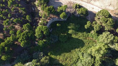 hava görüntüsü, manzara, manzara, köy, yukarıda, alan, yaz, tarım, kırsal, çevre, doğa, açık hava,