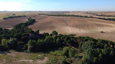 hava görüntüsü, manzara, manzara, köy, yukarıda, alan, yaz, tarım, kırsal, çevre, doğa, açık hava,