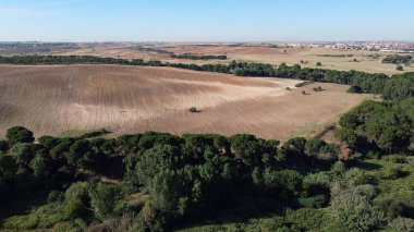 hava görüntüsü, manzara, manzara, köy, yukarıda, alan, yaz, tarım, kırsal, çevre, doğa, açık hava,