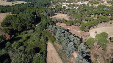 hava görüntüsü, manzara, manzara, köy, yukarıda, alan, yaz, tarım, kırsal, çevre, doğa, açık hava,