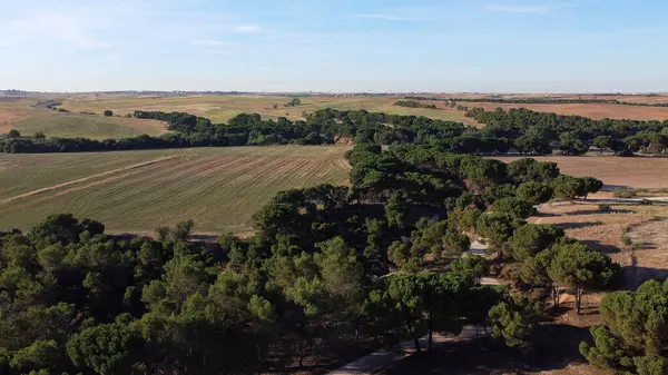 stock image aerial view, landscape, view, village, above, field, summer, agriculture, rural, environment, nature, outdoor,