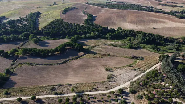 hava görüntüsü, manzara, manzara, köy, yukarıda, alan, yaz, tarım, kırsal, çevre, doğa, açık hava,