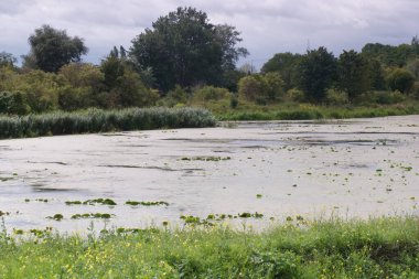 Nehir, manzara, yeşil, doğa, su, yaz, açık hava, güzel, mavi, gökyüzü,