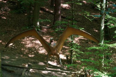 Jurasik, tarih öncesi, dinozor, dinozor, yaratık, vahşi yaşam, hayvan, canavar, sürüngen, yeşil, doğa, vahşi park, orman, tarih,,