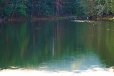 dere, doğa, çevre, nehir, orman, su, su, su manzarası, manzara, manzara, manzara, akış, manzara, arka plan, açık hava, güzel, sonbahar, sonbahar,