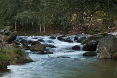 dere, doğa, çevre, nehir, orman, su, su, su manzarası, manzara, manzara, manzara, akış, manzara, arka plan, açık hava, güzel, sonbahar, sonbahar,