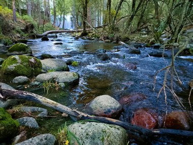 Şelale, şelale, su, nehir, çevre, doğa, manzara, orman, manzara, sonbahar, manzara, ağaçlar, yeşil, güzel, doğal, güzel,