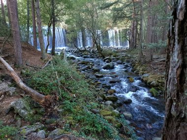 Şelale, şelale, su, nehir, çevre, doğa, manzara, orman, manzara, sonbahar, manzara, ağaçlar, yeşil, güzel, doğal, güzel,