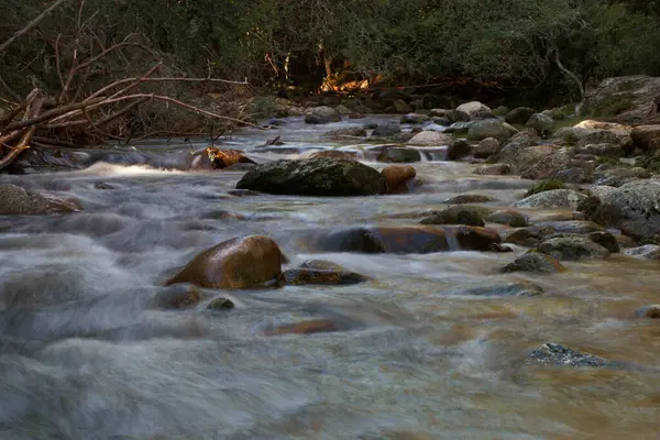 Ручей Природа Окружающая Среда Река Лес Вода Водные Пейзажи Пейзаж — стоковое фото