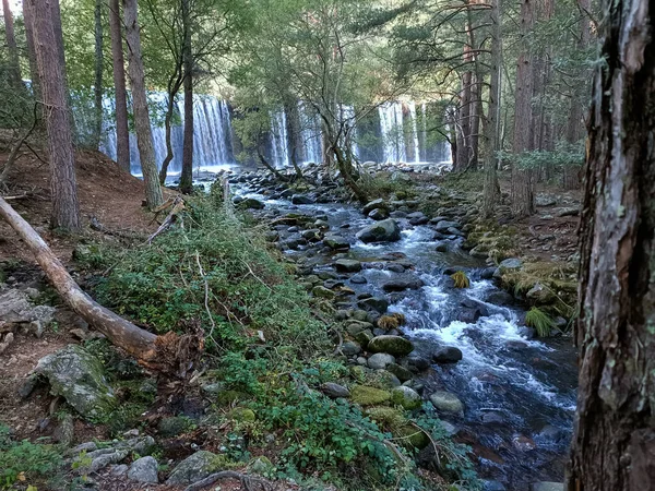 Şelale, şelale, su, nehir, çevre, doğa, manzara, orman, manzara, sonbahar, manzara, ağaçlar, yeşil, güzel, doğal, güzel,