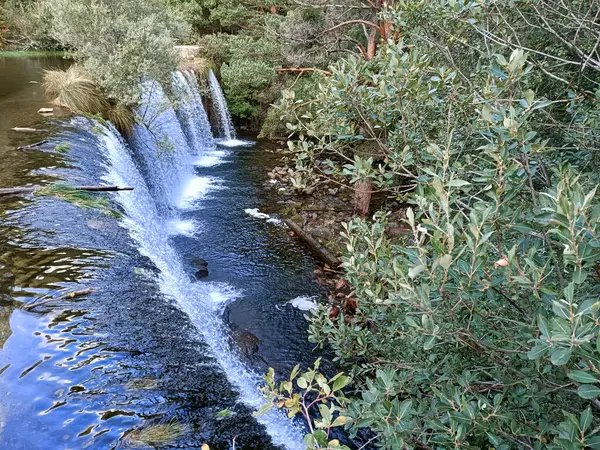 Каскад Водопад Вода Река Окружающая Среда Природа Ландшафт Пейзаж Лес — стоковое фото