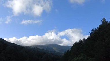 Şelale, şelale, su, nehir, çevre, doğa, manzara, orman, manzara, sonbahar, manzara, ağaçlar, yeşil, güzel, doğal, güzel,