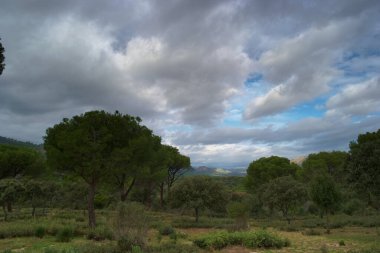 manzara, gökyüzü, dağ, bulutlar, doğa, ağaç, orman, açık hava, yeşil, doğal, güzel, bitkiler,