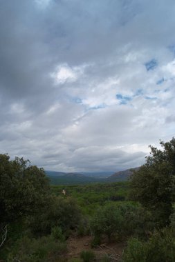 manzara, gökyüzü, dağ, bulutlar, doğa, ağaç, orman, açık hava, yeşil, doğal, güzel, bitkiler,