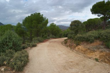 manzara, gökyüzü, dağ, bulutlar, doğa, ağaç, orman, açık hava, yeşil, doğal, güzel, bitkiler,