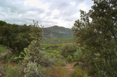 manzara, gökyüzü, dağ, bulutlar, doğa, ağaç, orman, açık hava, yeşil, doğal, güzel, bitkiler,