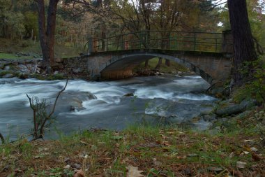 Köprü, dere, nehir, manzara, park, su, manzara, doğa, sonbahar, manzara, orman, yeşillik, güzel, yeşil, açık hava, doğal, ağaçlar,