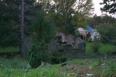 harabe, ev, bina, terk edilmiş manzara, orman, ev, mimari, terk edilmiş, açık hava, doğa, ağaç, eski ahşap, çim, doğal, yeşil,